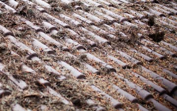 Westmoor End roof cleaning companies